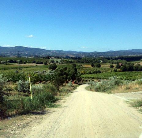 Agriturismo Relais Poggio Primo Borro Εξωτερικό φωτογραφία