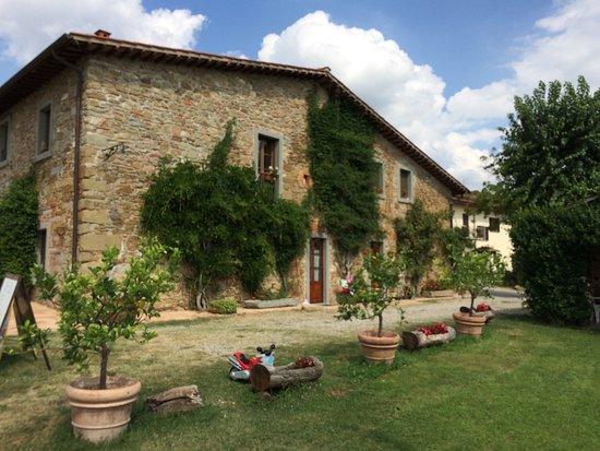 Agriturismo Relais Poggio Primo Borro Εξωτερικό φωτογραφία